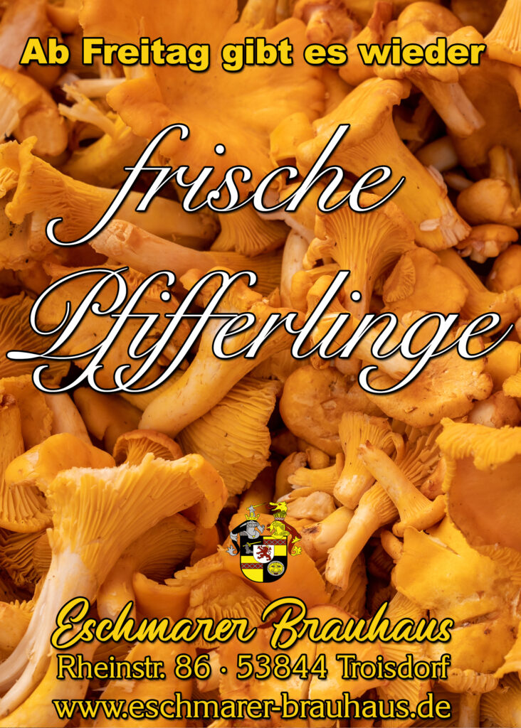 Frische Pfifferlinge
